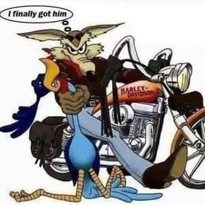 Meet your Posher, Todd